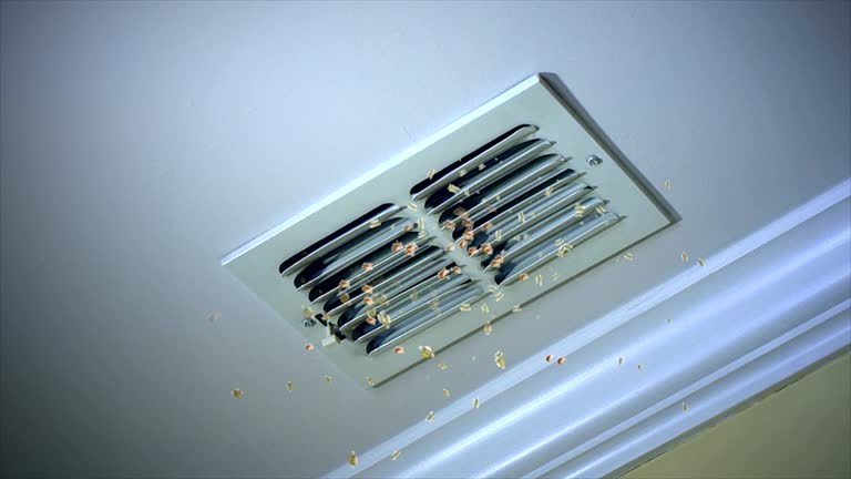 Best Ventilation Cleaning Services  in Selmont West Selmont, AL